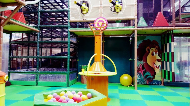 Safari Nation Indoor Playground | Best Kids Birthday Party ...